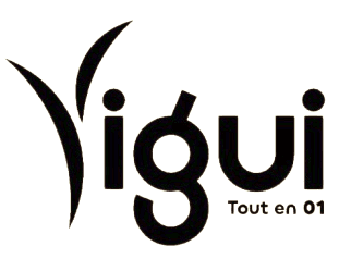 logo yigui