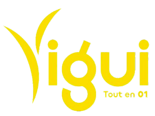 logo yigui
